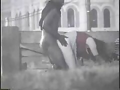 ວັນແຫ່ງຄວາມຮັກ Orgasmic